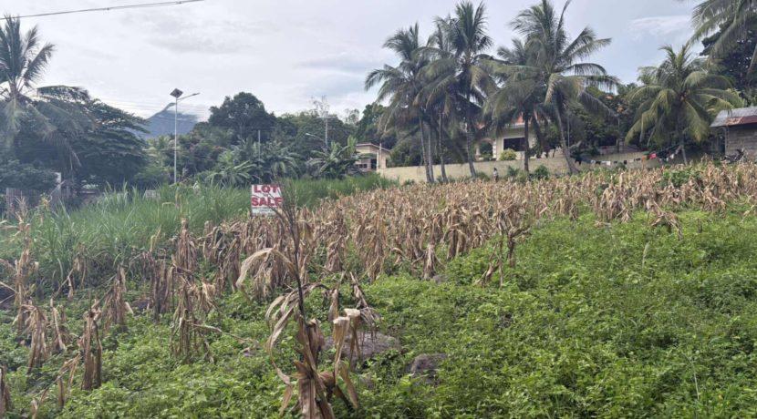 b0fb7ba33dcca99444cdd9a86c04a500