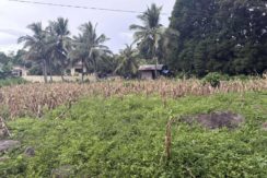 bfd356d33cb313be6c7072ed8da78cb3