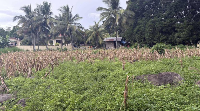 bfd356d33cb313be6c7072ed8da78cb3