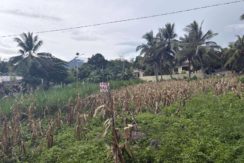 c6b1f367ed6eccde78b646177887fa61