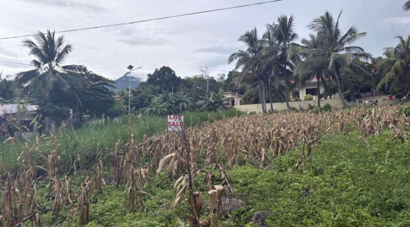 c6b1f367ed6eccde78b646177887fa61