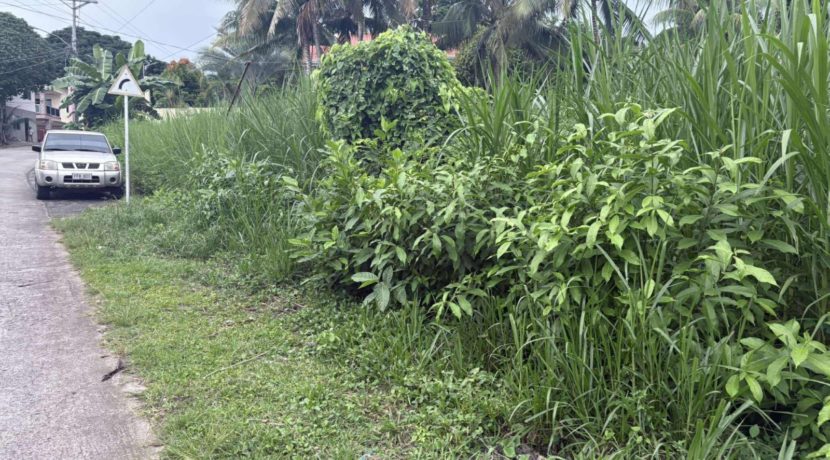 c6f6dcdc179c668f183dac4d8c13556a