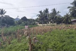 c75dc19463eb476d44b2e4fa52add4a3