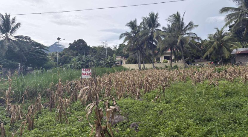 c75dc19463eb476d44b2e4fa52add4a3