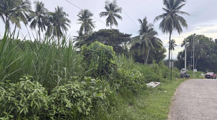 cc2c91111bbefe520376ea609a57a942