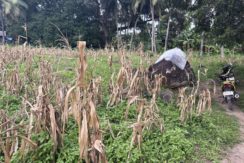 d5854cfc7d092c5186ed13e9a8e59c3b