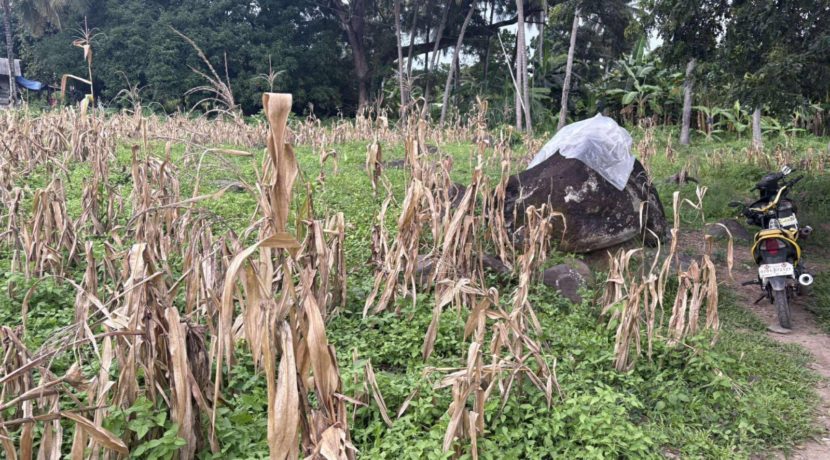 d5854cfc7d092c5186ed13e9a8e59c3b