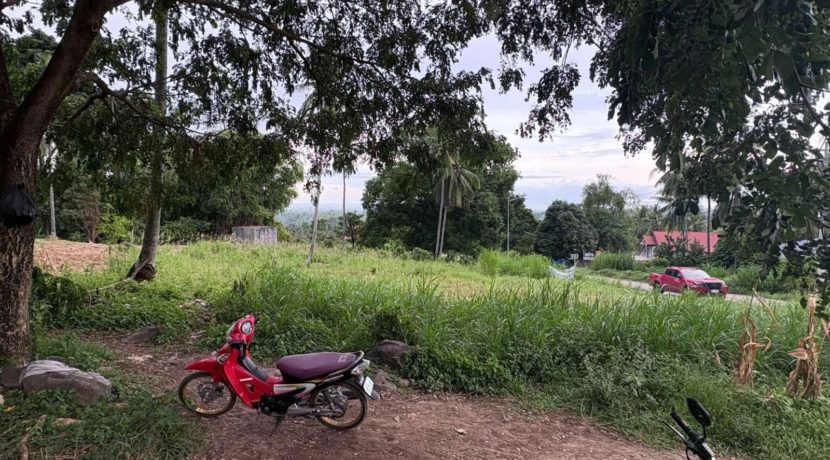 dbc1e5b0588853ac42abd058c8bb2952