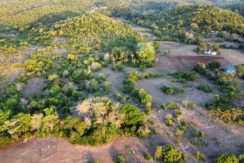 dji_fly_20250424_174110_50_1745487706465_photo_optimized