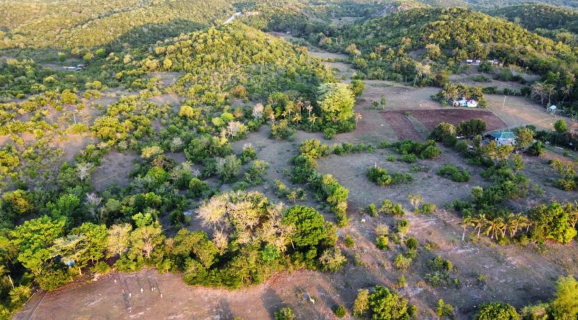 dji_fly_20250424_174110_50_1745487706465_photo_optimized