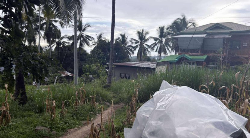 eaa14b921410f145e1d75edbb257a522