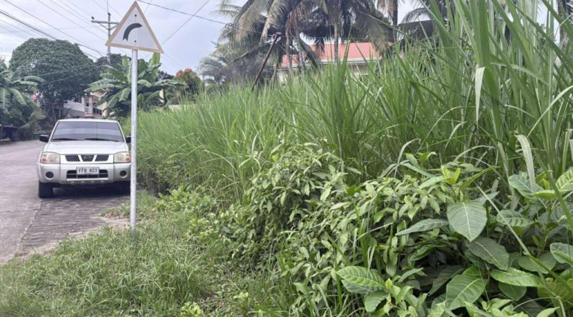 ecef7e131b02c15f7a7f84734b39978e