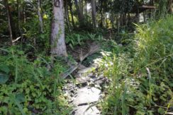 img_20251003_084239_720