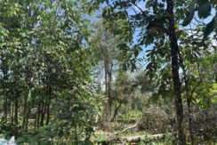 15e8378123c97e2d89f53775273c611e