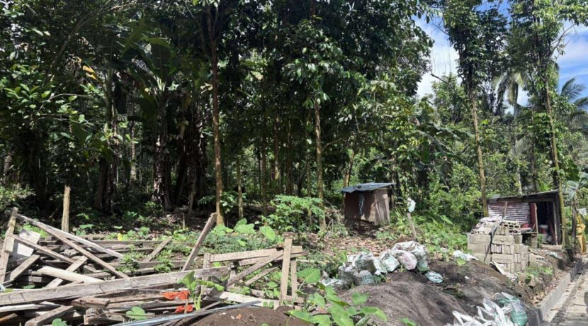 3e4a32c1bd33cd61c94e98302b0d8c59