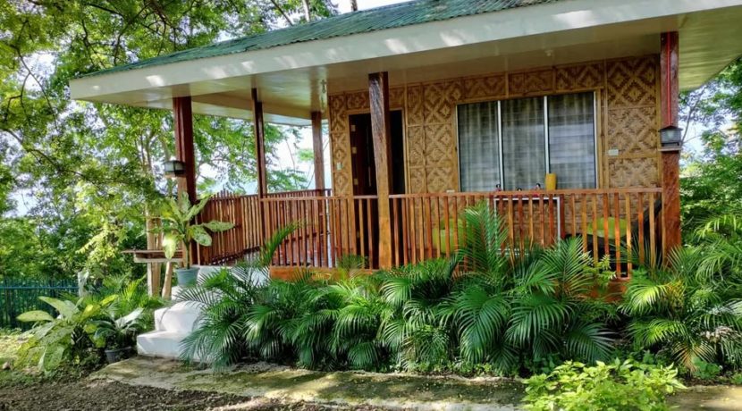 494572254_1007843351517295_1790261405741605629_n