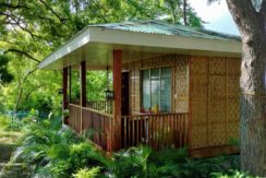 503147277_1241204760895737_2118056890941208403_n