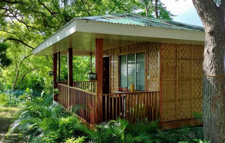 503147277_1241204760895737_2118056890941208403_n