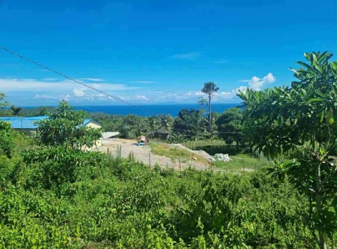 SMALL OCEAN VIEW LOT FOR SALE IN SAN JUAN SIQUIJOR SIQ00176- C