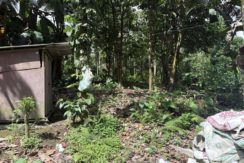 7561f4d251e29742db692bf589e2d6d5