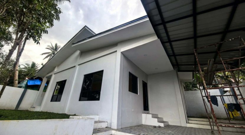 7cf7fc8c-4ad5-4478-b564-4b4115d14e58