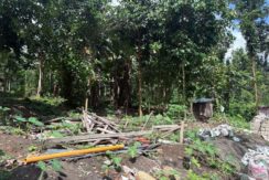 92256f48deee150b06d921ea33c02520