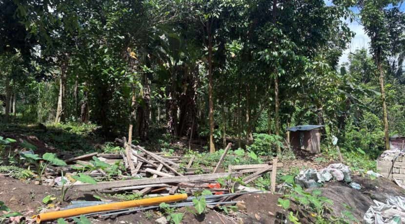 92256f48deee150b06d921ea33c02520