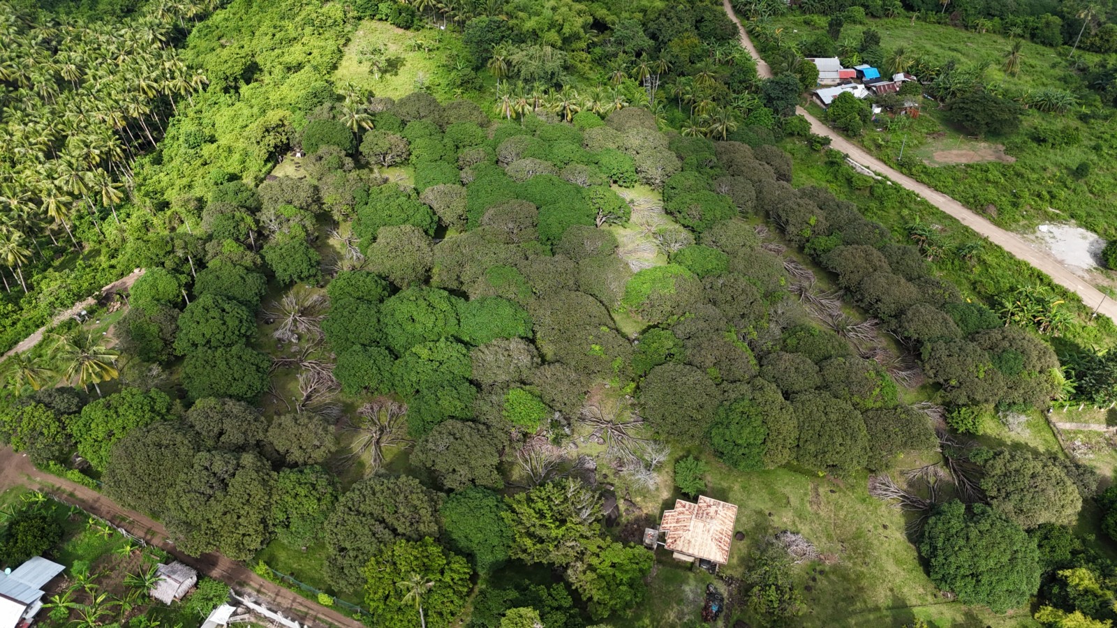 LOT FOR SALE IN VALENCIA WITH PARTIAL OCEAN VIEW ID 15056 – P