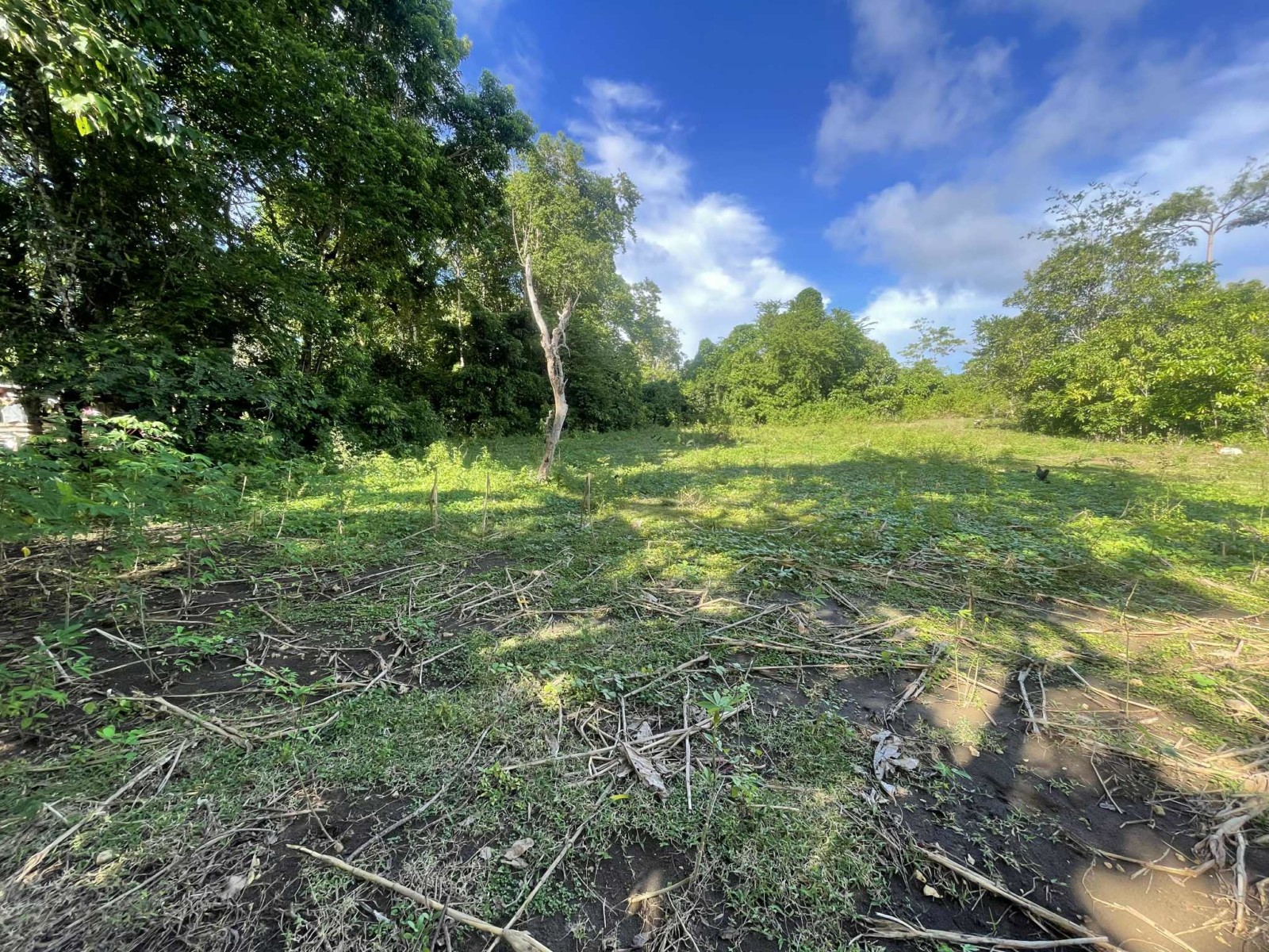 LOT FOR SALE IN SAN JUAN, SIQUIJOR SIQ00180 – C