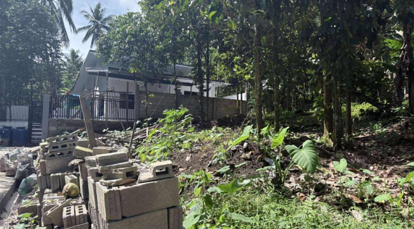 a15905ae247f2f7af73f3550d556746