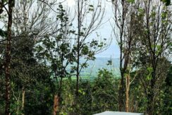 b5ce1736-2b85-4854-ae22-561c5d037e16