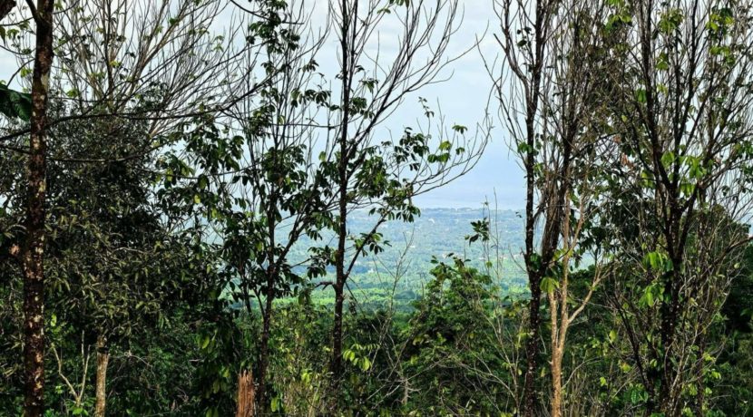 b5ce1736-2b85-4854-ae22-561c5d037e16