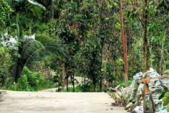 b955a534-f744-43f8-ad22-60ba9b3bbc7b