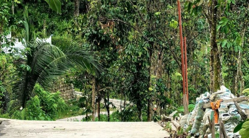 b955a534-f744-43f8-ad22-60ba9b3bbc7b