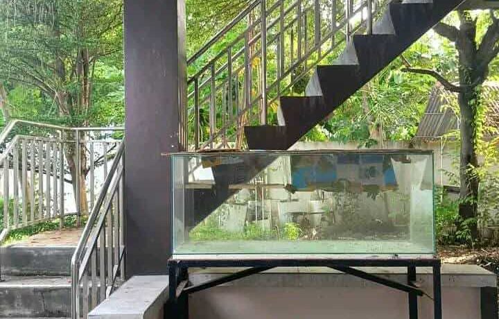 received_1140568204376346