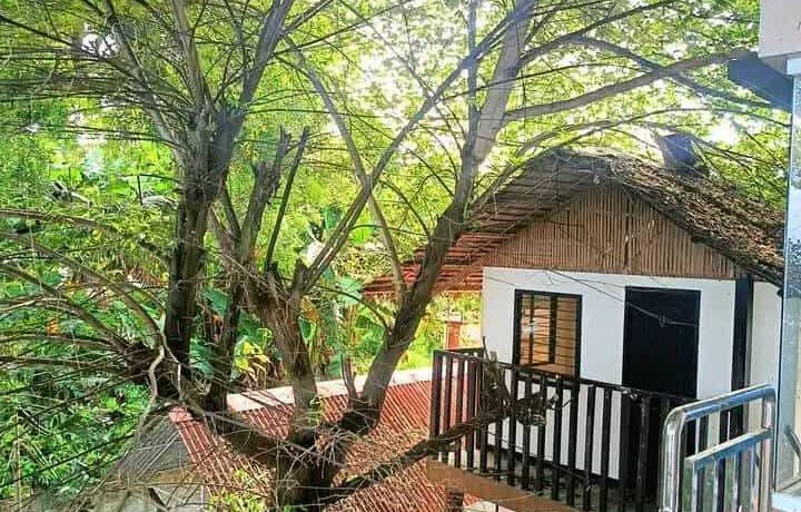 received_2899362786920637