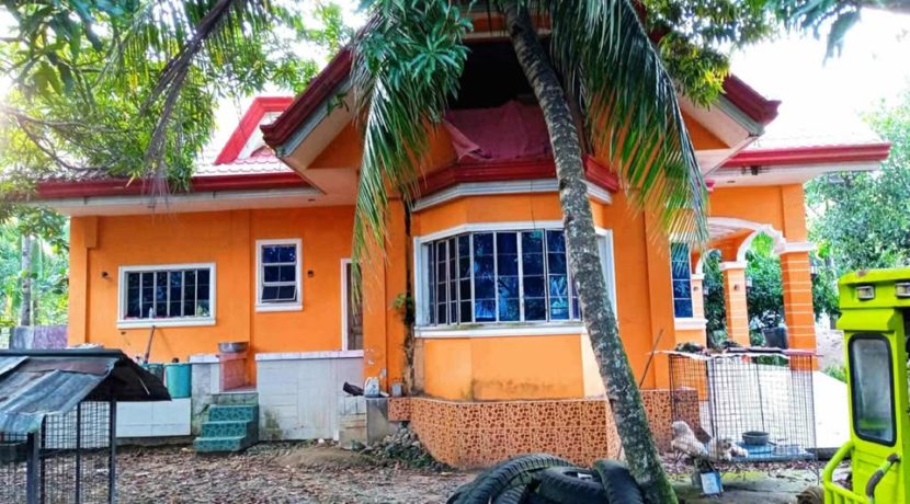 530895564_1443327660147770_7002905425271908751_n