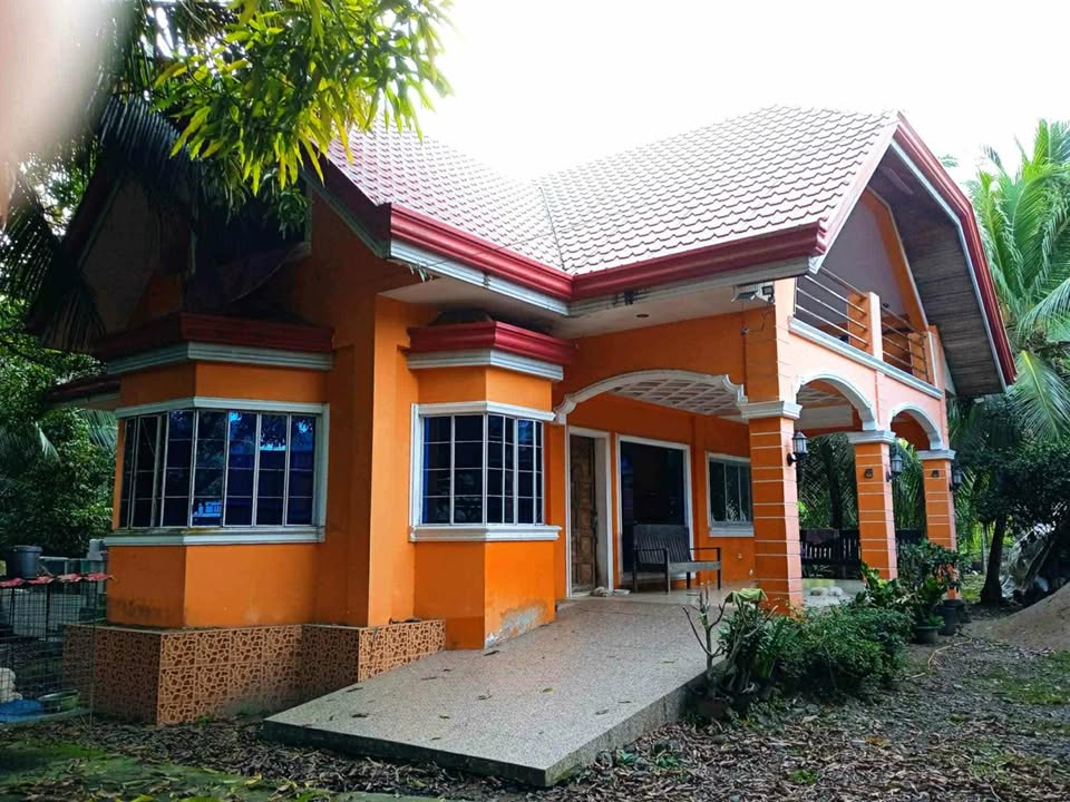 2-Storey House Along National Highway in Bayawan City ID 15065 – P/R