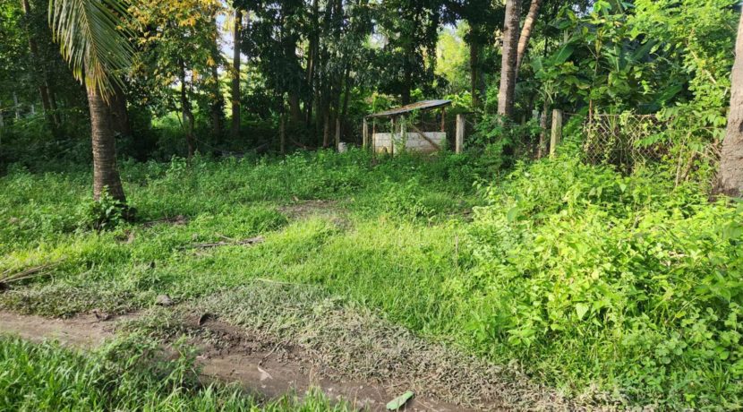 578090916_1828844787763851_5831747708677269399_n