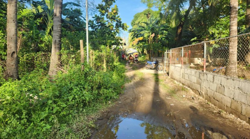 582298242_860221933249488_325501724572473746_n