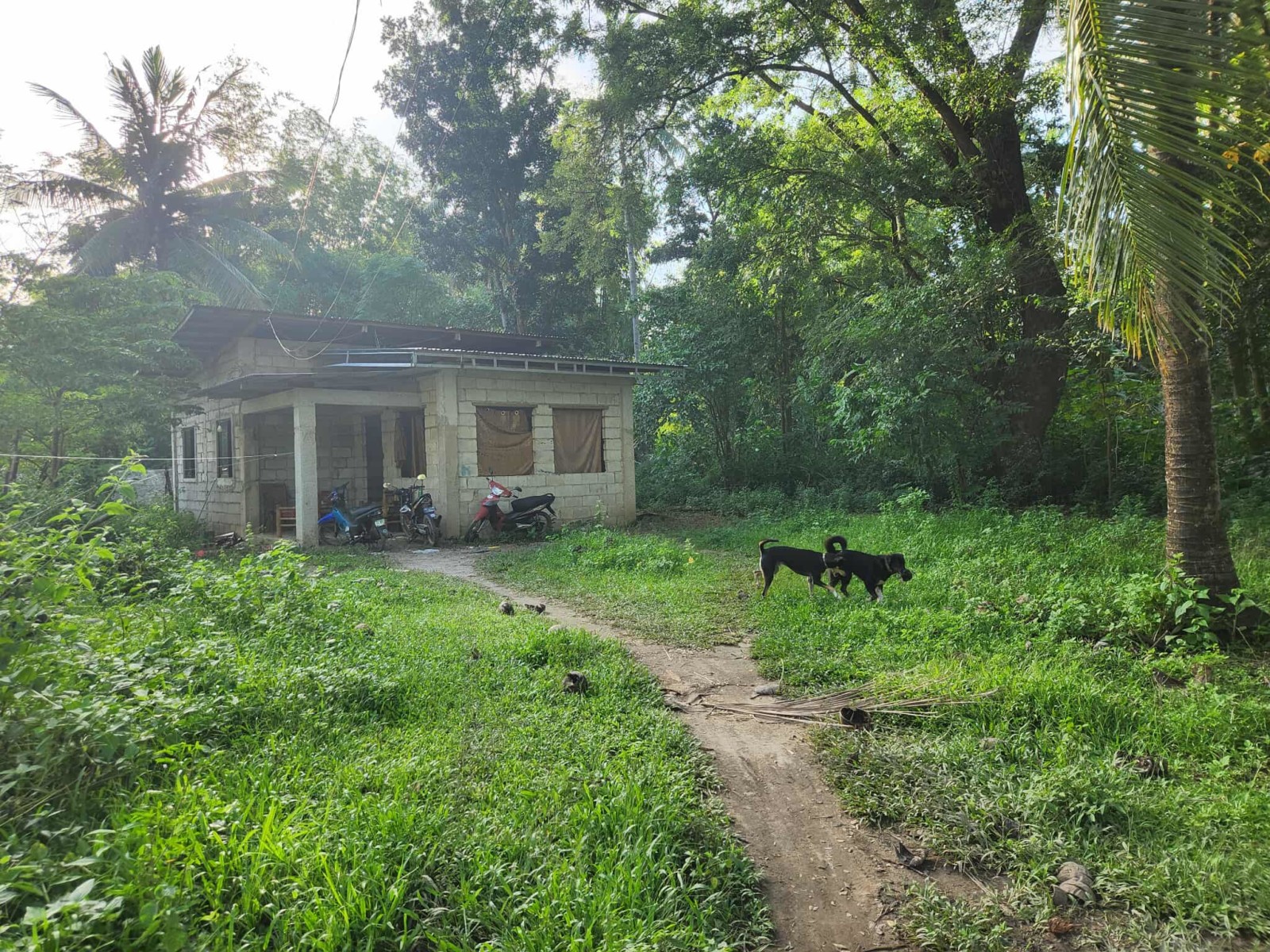 UNFINISH HOUSE AND LOT FOR SALE ID 15064 – P