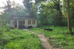 582735998_993289706338948_736109536721621501_n