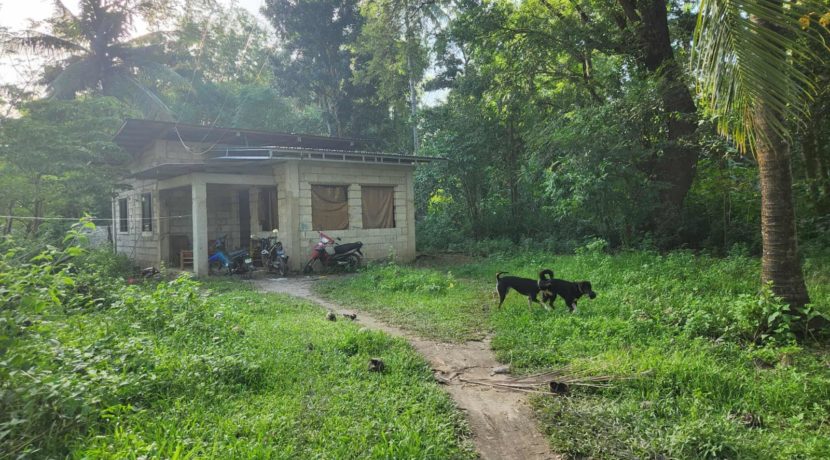 582735998_993289706338948_736109536721621501_n