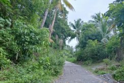 WhatsApp Image 2025-11-15 at 11.56.22_0e3c7ea8