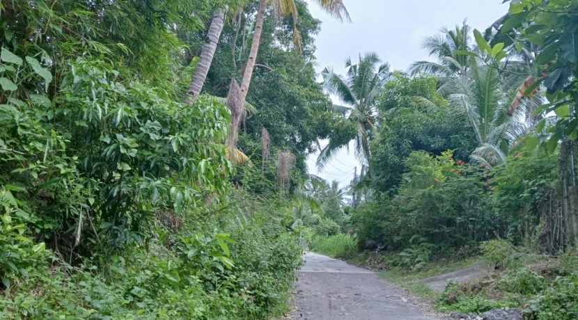 WhatsApp Image 2025-11-15 at 11.56.22_0e3c7ea8