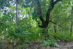 WhatsApp Image 2025-11-15 at 11.56.22_5ab48bec