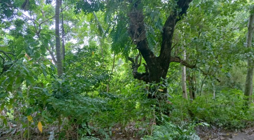 WhatsApp Image 2025-11-15 at 11.56.22_5ab48bec