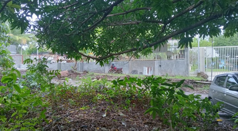 WhatsApp Image 2025-11-15 at 11.56.23_04df08cd