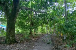 WhatsApp Image 2025-11-15 at 11.56.23_10e71f63