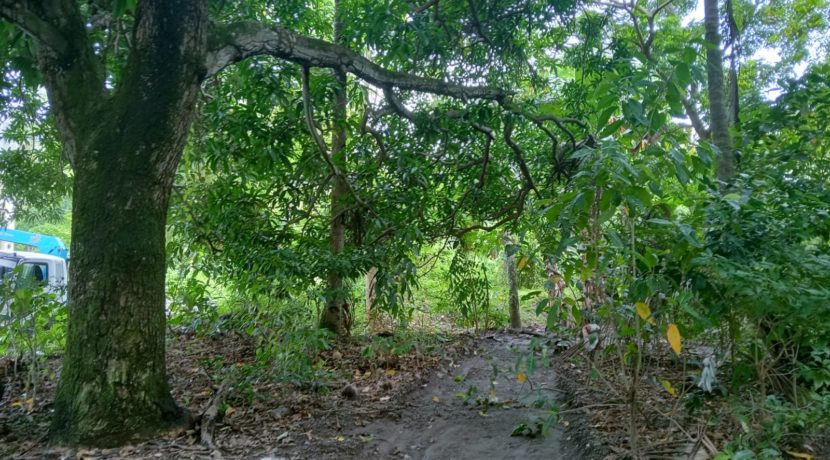 WhatsApp Image 2025-11-15 at 11.56.23_10e71f63